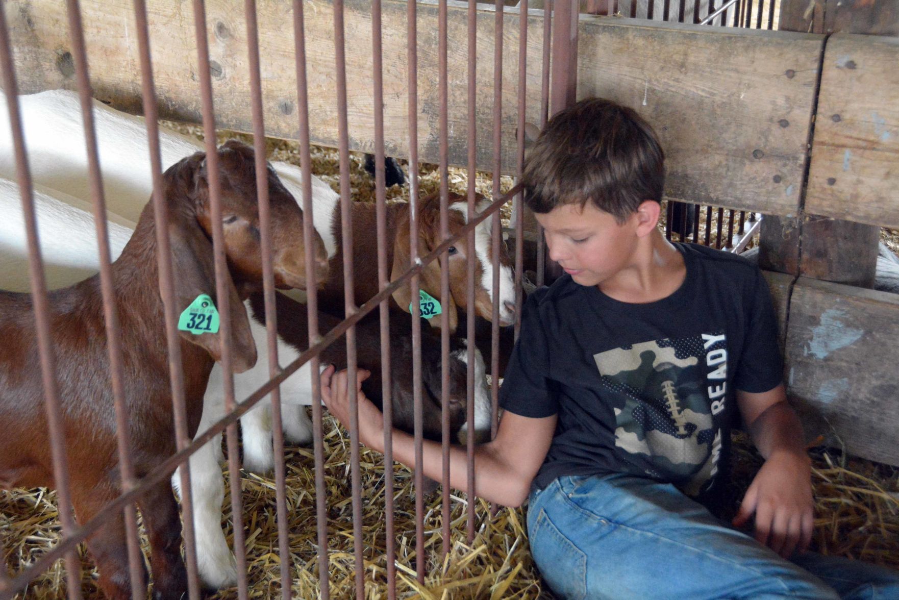 Thursday at the 2021 Sauk County Fair